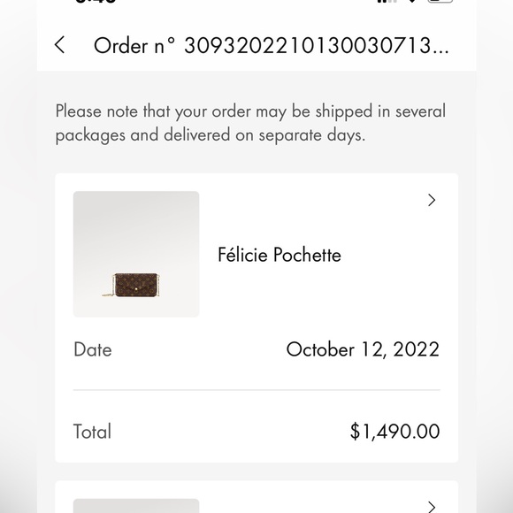 LOUIS VUITTON Felicie Gold Chain - Picture 7 of 7